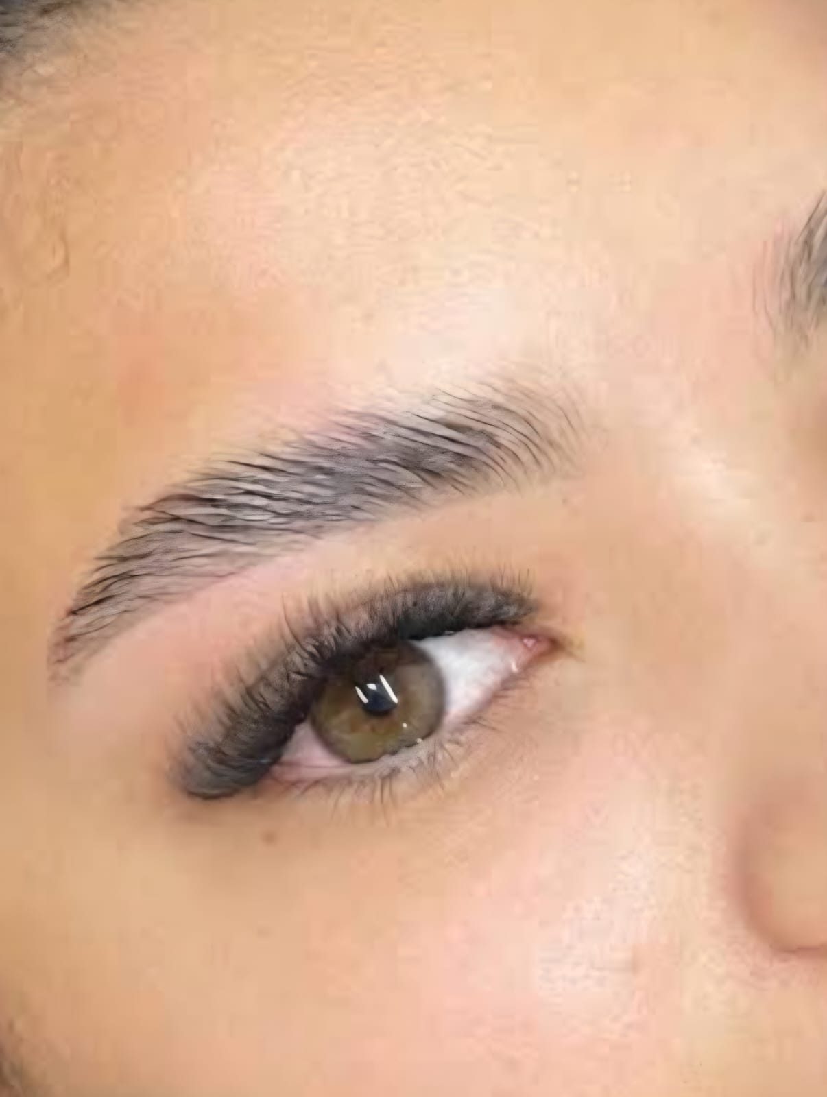 4D + Brow Lamination